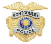 Eagle Topped Badge S26