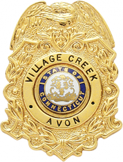 Eagle Topped Badge S272