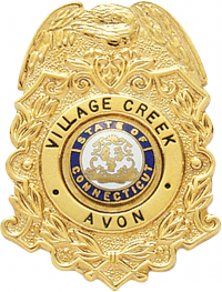 Eagle Topped Badge S272