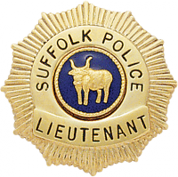 Starburst  / Windmill Type Badge S286