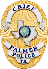 Oval badge with State of Texas S36TX