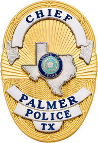 Oval badge with State of Texas S36TX