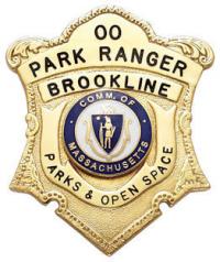 Massachuetts Shield Type Badge S-502