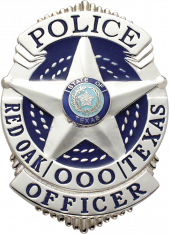 Five Point Star Shield Badge S-507