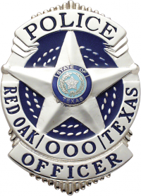 Five Point Star Shield Badge S-507