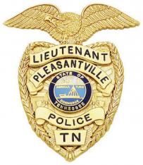 Eagle Topped Shield Type Badge S-510