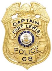 Eagle Topped Shield Type Badge S522