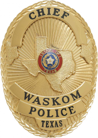 Oval badge with State of Texas S525TX