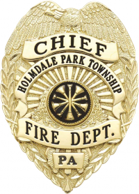 Eagle Topped Badge S536B