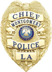 Eagle Topped Badge S536