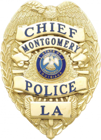 Eagle Topped Badge S536