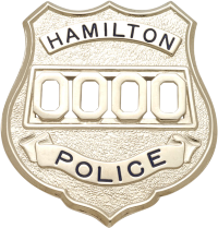 Shield badge with no eagle S542