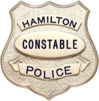 Shield badge with no eagle S548