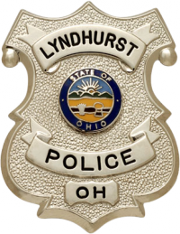 Shield badge with no eagle S552