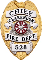 Eagle Topped Shield Type Badge S-555A