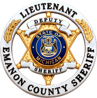 Six point star in circle S563A