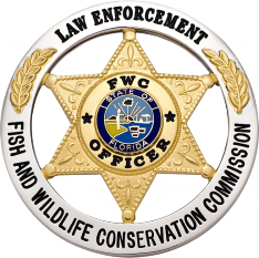 Six point star in circle S563