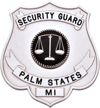 Shield badge with no eagle S568