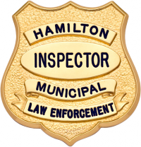 Shield badge with no eagle S576