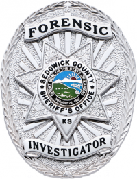 Oval badge with seven point star S577AD2