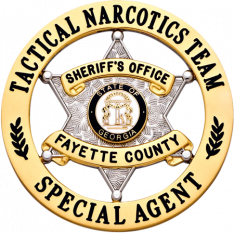 Six point star in circle S579