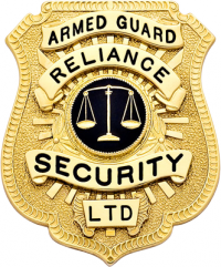 Series 44 shield badge S586B