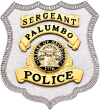 Shield badge with no eagle - applied panels S594