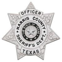 Seven Point Star Badge S609