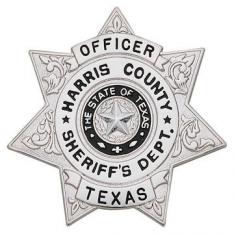 Seven Point Star Badge S609