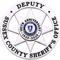 Eight point star badge in circle Style S641