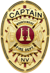 Oval badge with Maltese cross S652A