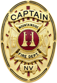 Oval badge with Maltese cross S652A