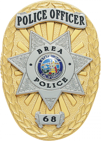 Oval badge with star S68