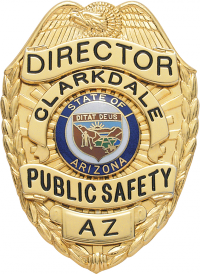 Eagle Topped Badge S89-A