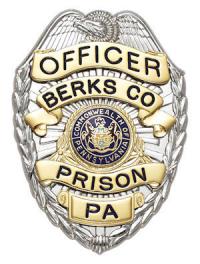 Eagle Topped Badge S-89