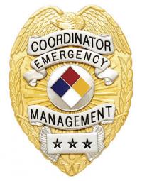 Eagle Topped Badge Style # S-91C