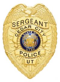 Eagle Topped Badge Style # S-91-D