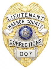 Eagle Topped Badge S-91-H