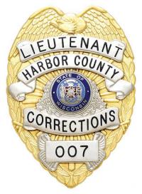 Eagle Topped Badge S-91-H