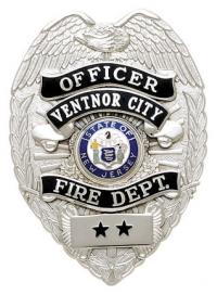 Eagle Topped Badge w/reversed panels S-91-R