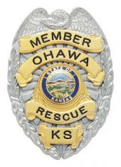 Eagle Topped Badge S-93