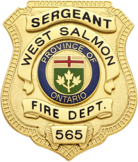 Shield badge with no eagle - applied panels S96EO