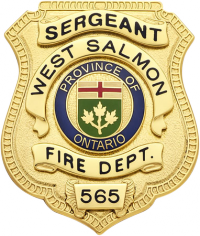 Shield badge with no eagle - applied panels S96EO