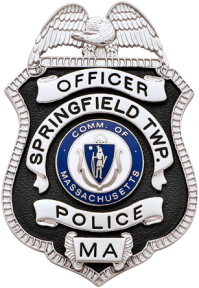 Eagle Topped Badge S-96TAC