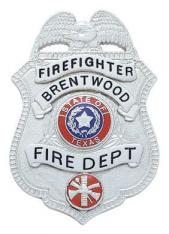 Eagle Topped Applied Panel Shield Badge S-97