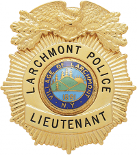 Sunburst eagle topped badge S99