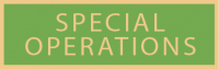 Special Operations service award SAB3_121