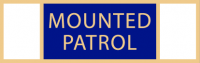 Mounted Patrol service award SAB3_145