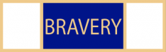 Bravery service award SAB3_27