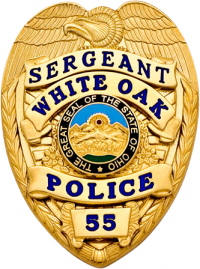 Eagle over shield badge SB1911